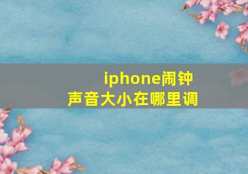 iphone闹钟声音大小在哪里调