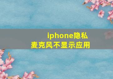 iphone隐私麦克风不显示应用