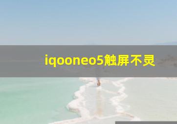 iqooneo5触屏不灵