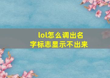 lol怎么调出名字标志显示不出来