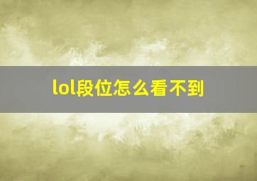 lol段位怎么看不到