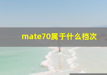 mate70属于什么档次