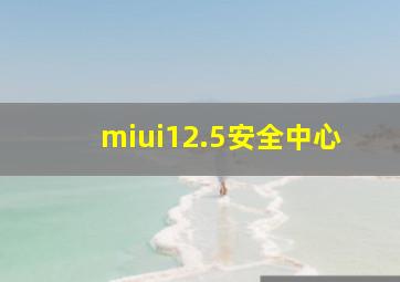 miui12.5安全中心