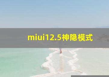 miui12.5神隐模式