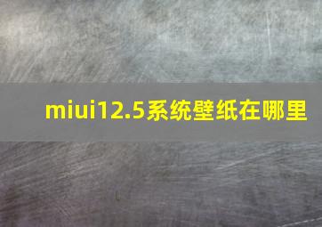 miui12.5系统壁纸在哪里