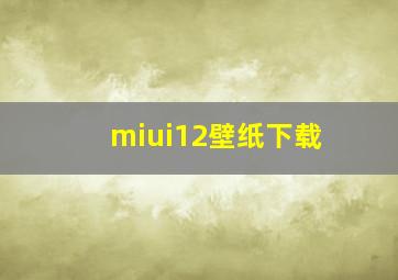 miui12壁纸下载