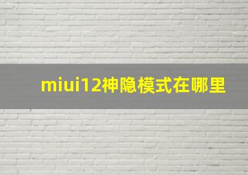 miui12神隐模式在哪里