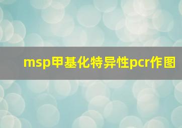 msp甲基化特异性pcr作图