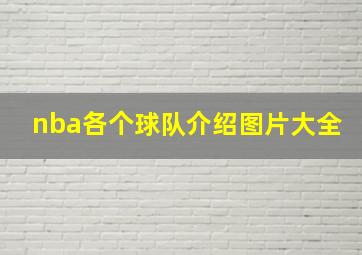 nba各个球队介绍图片大全