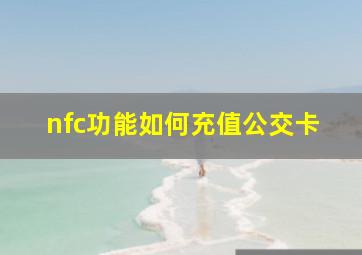 nfc功能如何充值公交卡