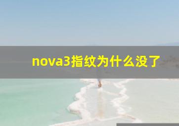 nova3指纹为什么没了