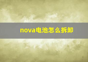 nova电池怎么拆卸