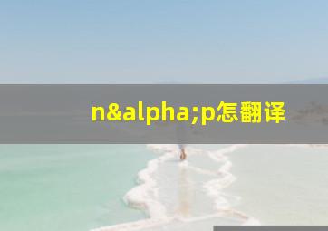 nαp怎翻译