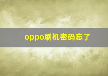 oppo刷机密码忘了