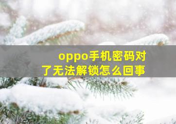 oppo手机密码对了无法解锁怎么回事