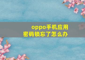 oppo手机应用密码锁忘了怎么办