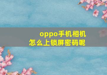 oppo手机相机怎么上锁屏密码呢