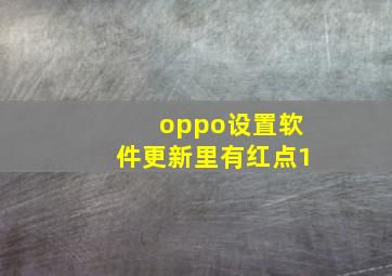 oppo设置软件更新里有红点1