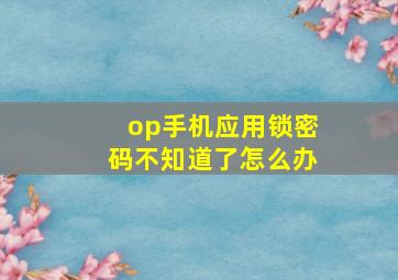 op手机应用锁密码不知道了怎么办