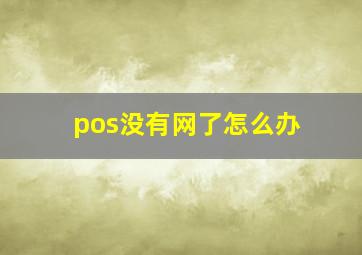 pos没有网了怎么办