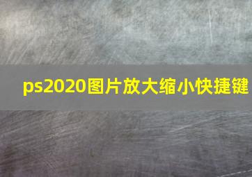 ps2020图片放大缩小快捷键