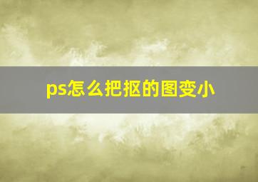 ps怎么把抠的图变小