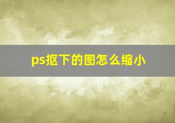 ps抠下的图怎么缩小