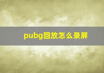 pubg回放怎么录屏