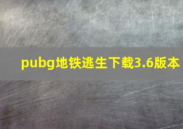 pubg地铁逃生下载3.6版本