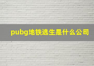 pubg地铁逃生是什么公司