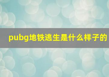 pubg地铁逃生是什么样子的