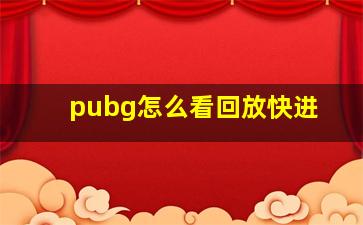 pubg怎么看回放快进