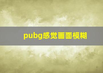 pubg感觉画面模糊