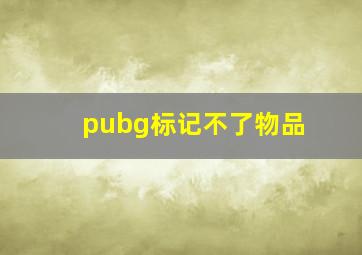 pubg标记不了物品