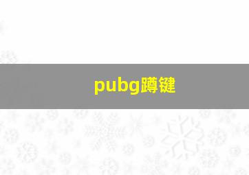 pubg蹲键