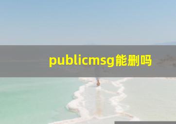 publicmsg能删吗