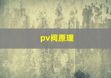 pv阀原理