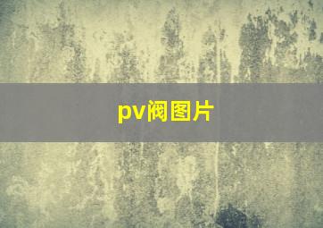 pv阀图片