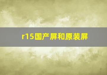 r15国产屏和原装屏