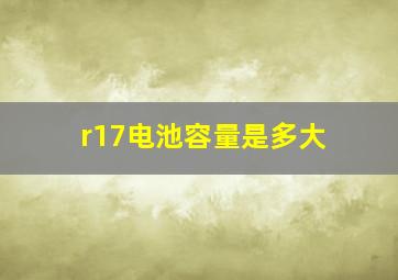 r17电池容量是多大