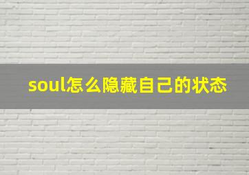 soul怎么隐藏自己的状态