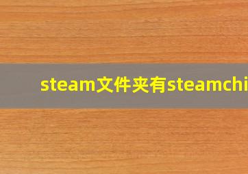 steam文件夹有steamchina