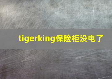 tigerking保险柜没电了