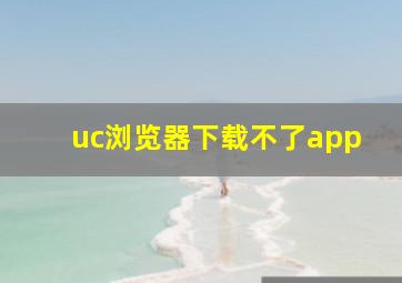 uc浏览器下载不了app