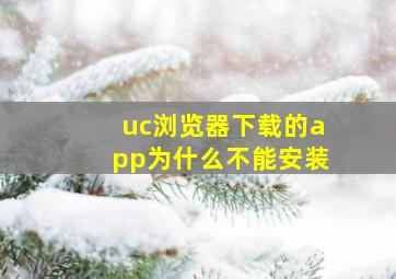 uc浏览器下载的app为什么不能安装