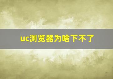 uc浏览器为啥下不了