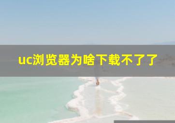 uc浏览器为啥下载不了了