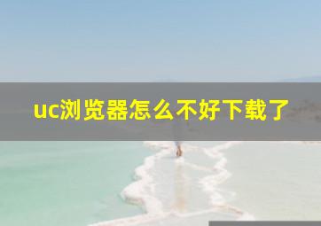 uc浏览器怎么不好下载了