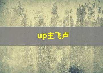 up主飞卢