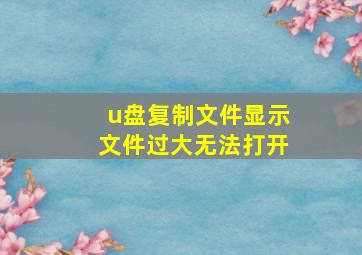 u盘复制文件显示文件过大无法打开